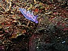 IMG_4765.JPG