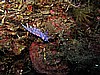 IMG_4766.JPG