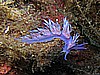 IMG_4767.JPG