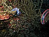 IMG_4768.JPG