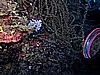 IMG_4769.JPG