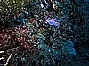 IMG_4770.JPG