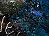 IMG_4771.JPG