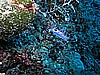 IMG_4772.JPG