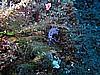 IMG_4777.JPG