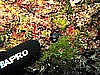 IMG_4778.JPG