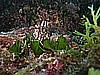 IMG_4783.JPG