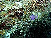 IMG_4791.JPG