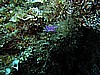 IMG_4793.JPG