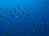 IMG_4800.JPG