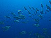 IMG_4801.JPG
