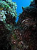 IMG_4805.JPG
