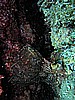 IMG_4806.JPG