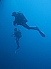 IMG_5253.JPG