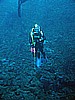 IMG_5254.JPG