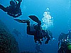 IMG_5264.JPG