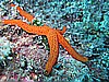 IMG_5268.JPG