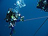 IMG_5280.JPG