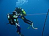IMG_5281.JPG