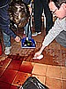 IMG_5302.JPG