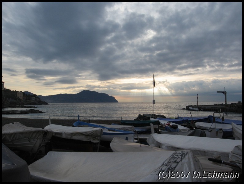 IMG_5318.JPG