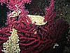 IMG_5324.JPG
