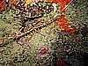 IMG_5327.JPG