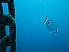 IMG_5336.JPG