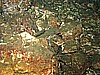 IMG_6022.JPG
