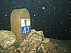 IMG_6024.JPG
