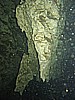 IMG_6033.JPG