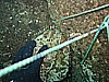 IMG_6047.JPG
