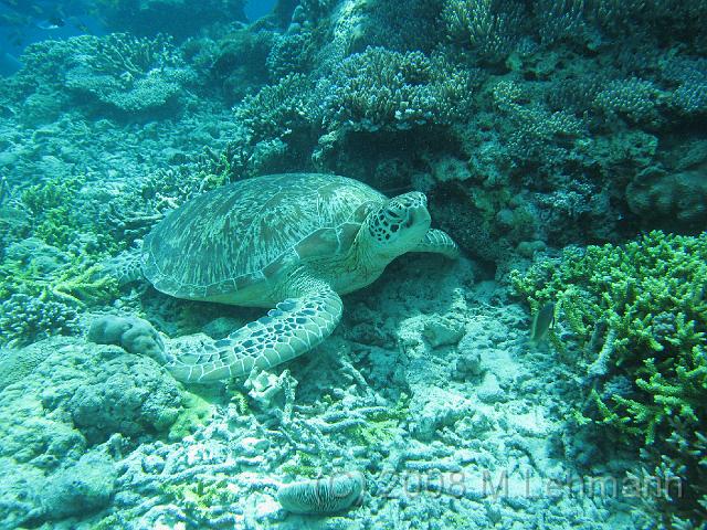 IMG_0103.JPG