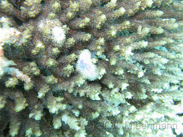 IMG_0106.JPG