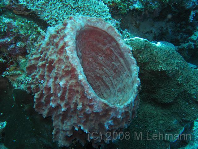IMG_0118.JPG
