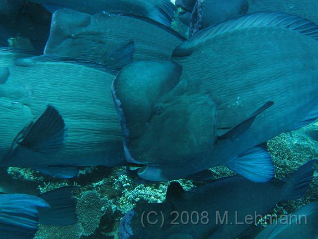 IMG_0139.JPG