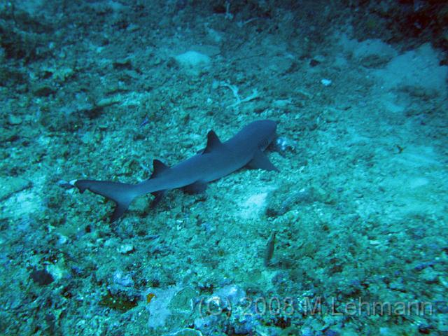 IMG_0197.JPG