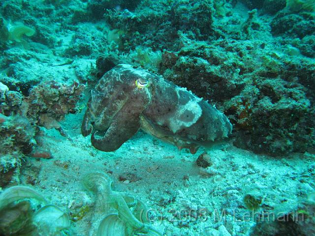 IMG_0257.JPG