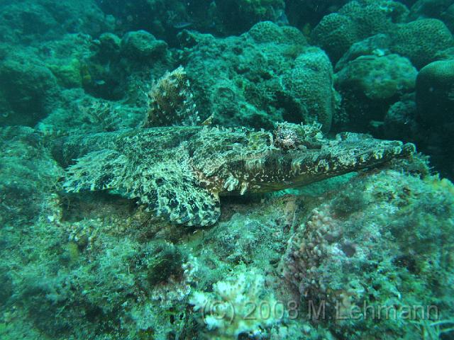 IMG_0315.JPG