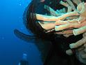 IMG_0191