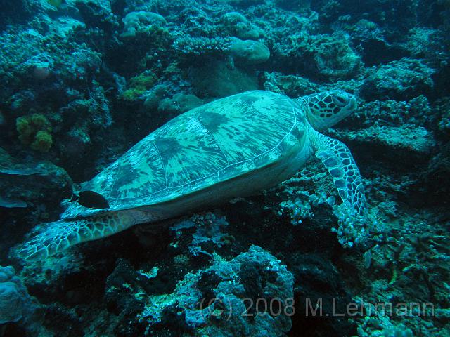 IMG_0380.JPG