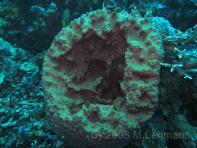 IMG_0389.JPG