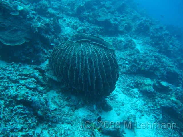 IMG_0393.JPG
