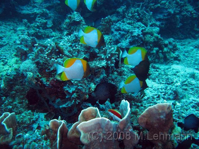 IMG_0396.JPG
