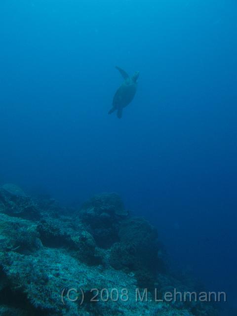 IMG_0402.JPG
