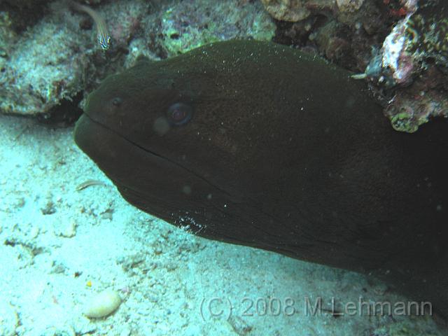 IMG_0421.JPG