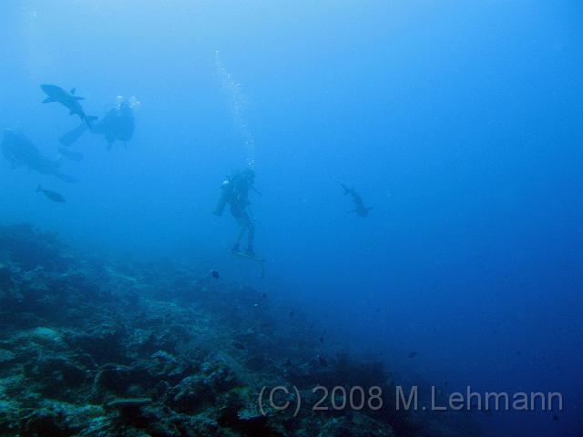 IMG_0445.JPG