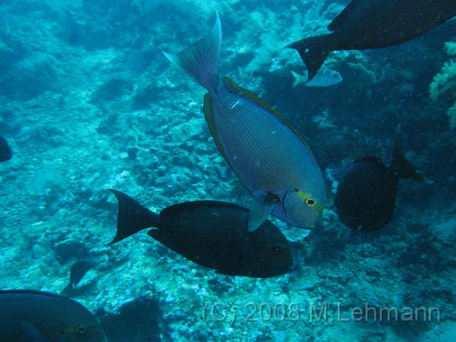 IMG_0448.JPG