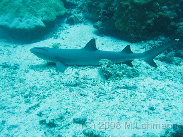 IMG_0465.JPG
