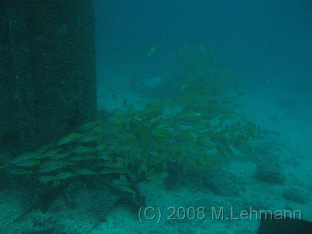 IMG_0517.JPG
